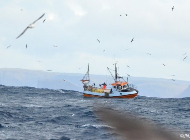 Siglingarloyvi bólkur 5A og 5B